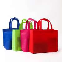 Customized Printed Packaging Clothing Plastic Non Woven Shopping Bag